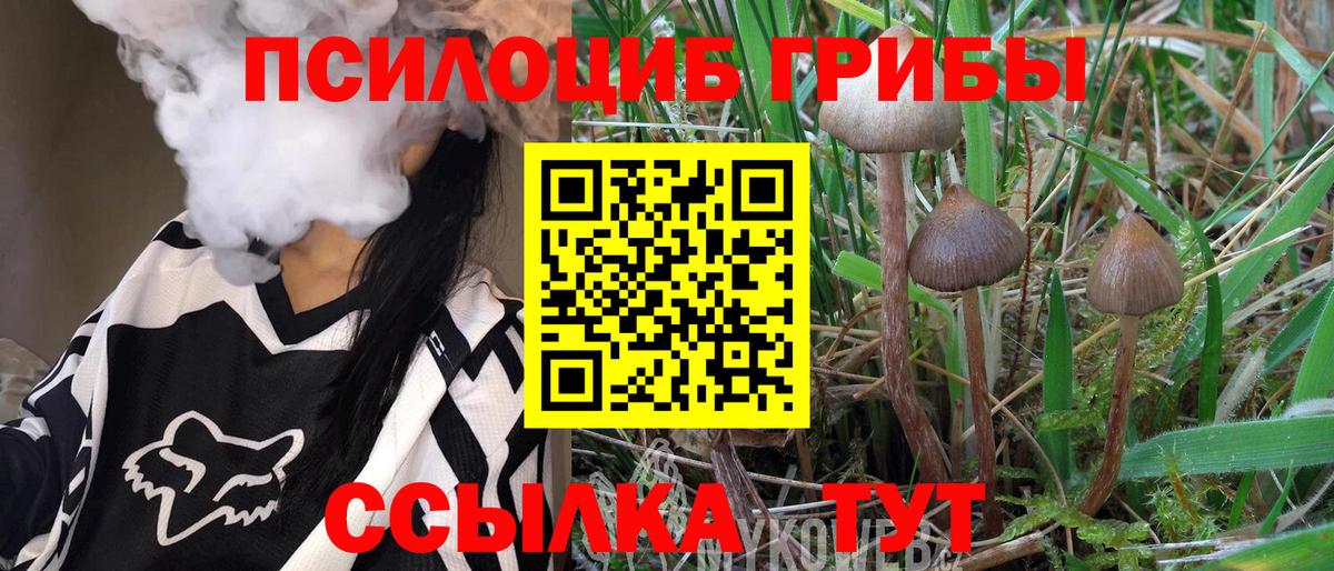 где можно купить наркотик  Вход с VPN  Сургут  Псилоцибиновые грибы MAGIC MUSHROOMS 